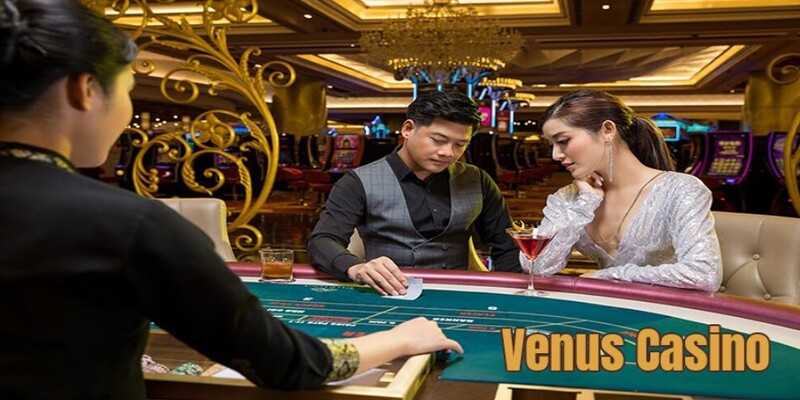 Tìm hiểu những thông tin tổng quan về Venus Casino